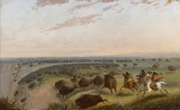 Driving Herds of Buffalo over a Precipice - Fur Traders and Rendezvous ...